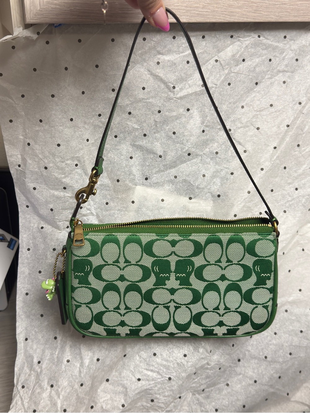New Coach x Braindead Plaza in green signature